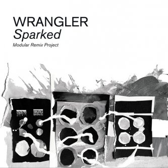 Copertina dell'album Sparked: Modular Remix Project, di Alessandro Cortini