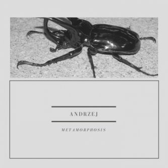 Copertina dell'album METAMORPHOSIS, di ANDRZEJ