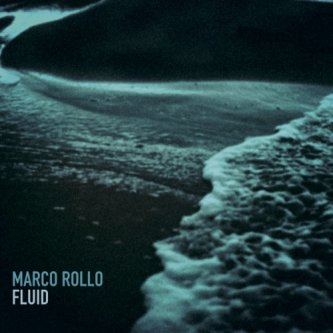Copertina dell'album FLUID, di Marco Rollo/Fluid