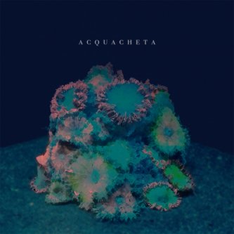 Copertina dell'album Acquacheta (EP), di Acquacheta