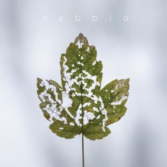 Copertina dell'album Nebbia, di Simone Nebbia