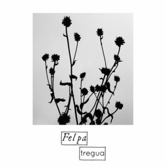 Copertina dell'album Tregua, di Felpa