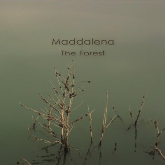 Copertina dell'album THE FOREST, di Maddalena