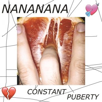 Copertina dell'album Constant Puberty, di NA NA NA NA