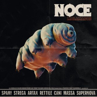Copertina dell'album NOCE, di MALAMADRE