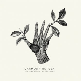 Copertina dell'album Solo un po’ di terra e un albero sopra, di Carmona Retusa