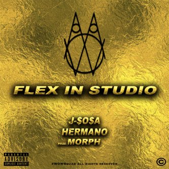 Copertina dell'album Flex In Studio, di WöW