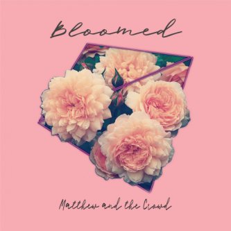Copertina dell'album Bloomed, di Mattew & the Crowd
