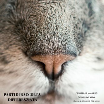 Copertina dell'album Parti di raccolta Differenziata (Organica Random), di Francesco Malaguti