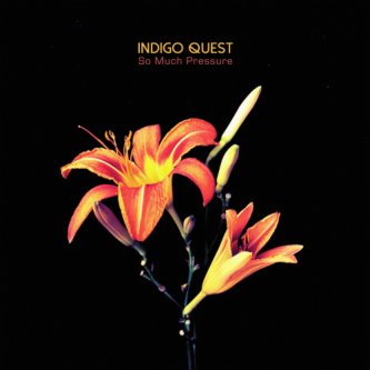 Copertina dell'album So Much Pressure, di Indigo Quest