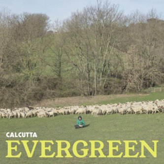 Copertina dell'album Evergreen, di Calcutta