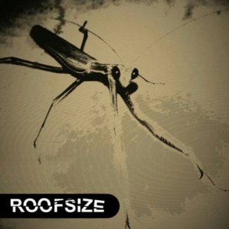 ROOFSIZE  (Ep)