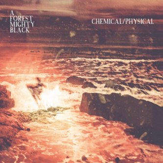 Copertina dell'album Chemical / Physical, di A Forest Mighty Black