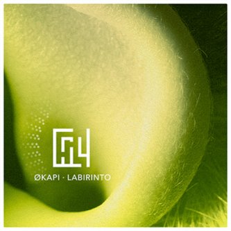 Copertina dell'album LABIRINTO - Verso un altro ritorno..., di Okapi