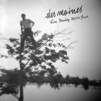 Copertina dell'album Like Freshly Mown Grass, di Des Moines