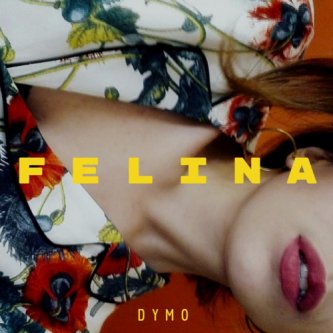 Copertina dell'album Felina - Singolo, di DYMO