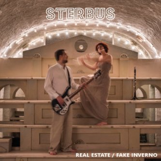 Copertina dell'album Real Estate / Fake Inverno, di Sterbus