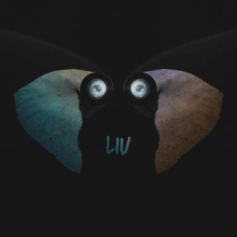 Copertina dell'album LIU, di Kaput Blue