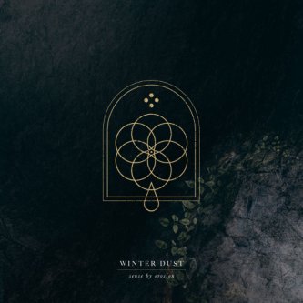 Copertina dell'album Sense by Erosion, di Winter Dust