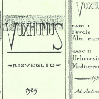 Copertina dell'album Risveglio, di Voxhumus