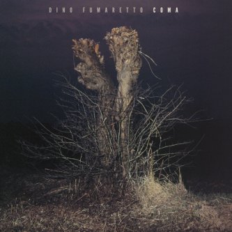 Copertina dell'album Coma, di Dino Fumaretto