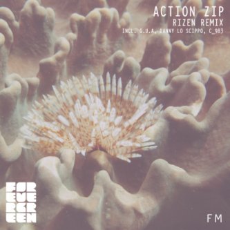 Copertina dell'album Action Zip - Rizen (Remix), di C-983