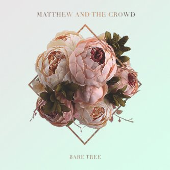 Copertina dell'album Bare Tree, di Mattew & the Crowd