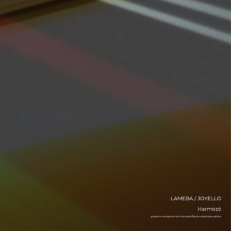Copertina dell'album Harmózō (Quattro variazioni di micropolifonia elettroacustica) [with Joyello], di Lameba