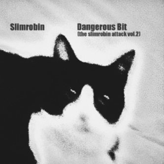Copertina dell'album Dangerous Bit (the slimrobin attack vol.2), di Slimrobin