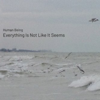 Copertina dell'album Everything Is Not Like It Seems, di Human Being
