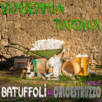 Copertina dell'album Batuffoli di calcestruzzo vol.1, di Vendemmia Tardiva