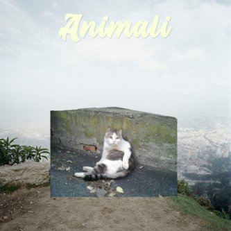 Copertina dell'album Animali, di i randagi