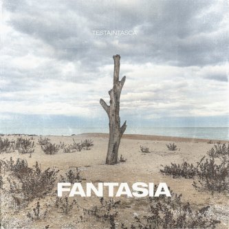 Copertina dell'album Fantasia, di Testaintasca
