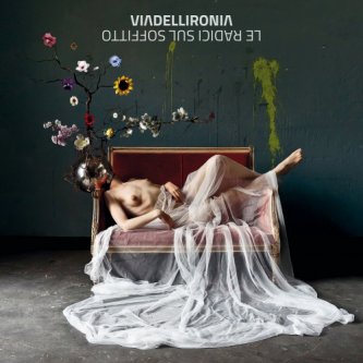 Copertina dell'album Le radici sul soffitto, di Viadellironia