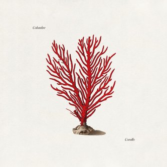 Copertina dell'album Corallo, di Colombre