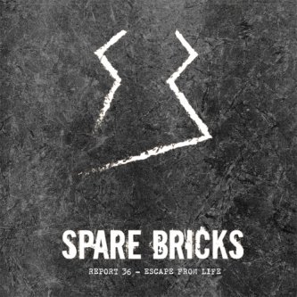 Copertina dell'album Report 36 (Escape from Life), di Spare Bricks