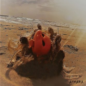 Copertina dell'album "Aymara", di Aymara