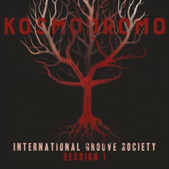 Copertina dell'album International Groove Society Session 1, di Kosmodromo