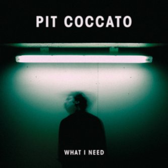 Copertina dell'album What I Need, di Pit Coccato
