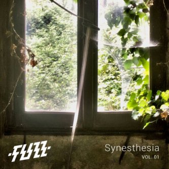 Copertina dell'album Synesthesia Vol.01, di FUZZ