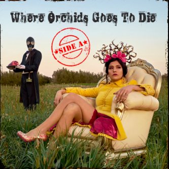 Copertina dell'album Where Orchids Goes To Die (Side A), di Where Orchids Goes To die