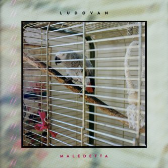 Copertina dell'album Maledetta, di Ludovan Band