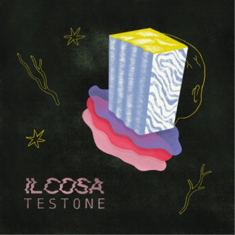 Copertina dell'album TESTONE, di IL COSA
