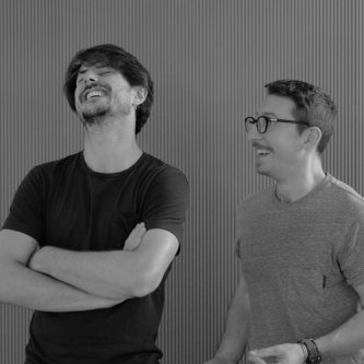 Copertina dell'album The Flight, di Not a Musician