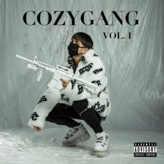 Copertina dell'album Cozygang Vol 1, di Zame