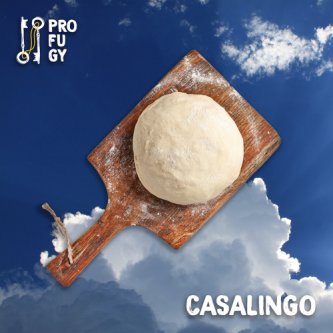 Copertina dell'album Casalingo, di Profugy