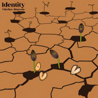 Copertina dell'album Identity, di Mirko Russo