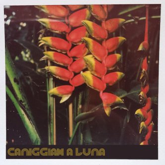 Copertina dell'album A Luna, di Caniggiah