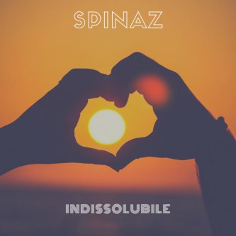 Copertina dell'album Indissolubile, di Spinaz