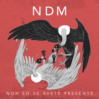 Copertina dell'album NON SO SE AVETE PRESENTE, di Nuovo Disordine Mondiale